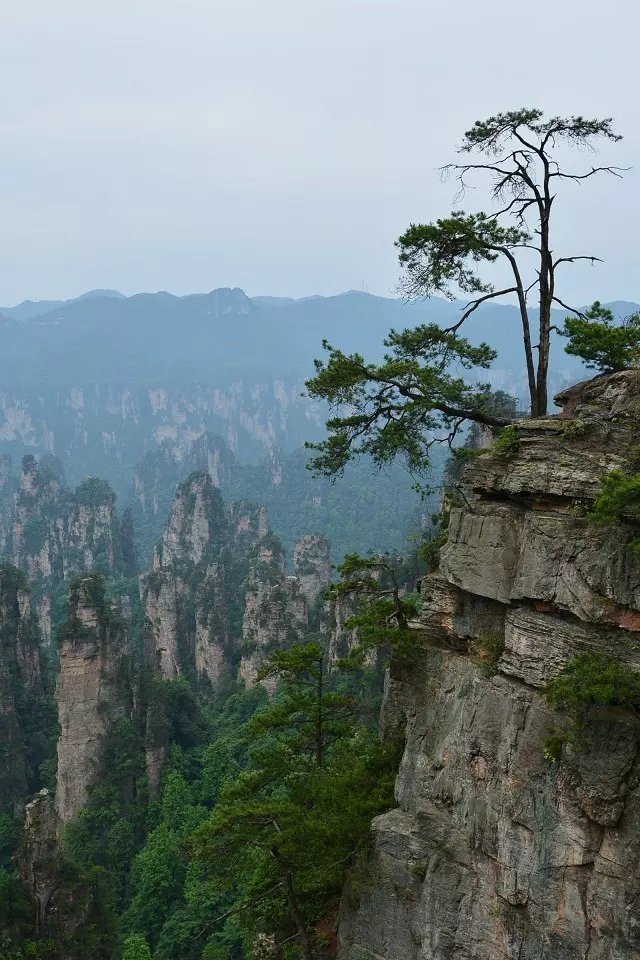 成人口中的白羊是啥意思_有意思的图片