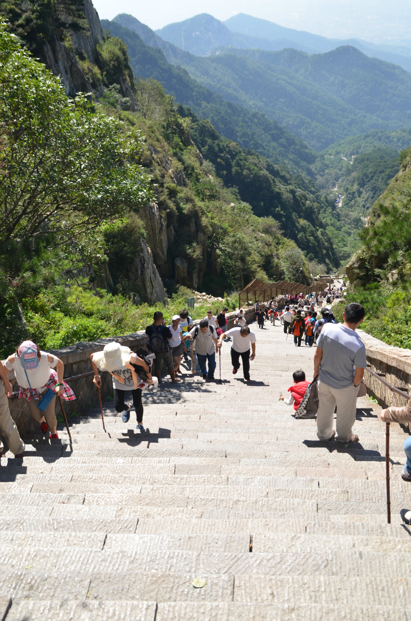 登泰山记