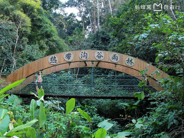 老百晓小学语文西师大版第三册 教案下载_老百晓小学语文在线_小学语文老百晓在线