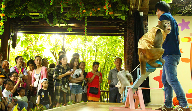 带孩子到三亚怎么玩? 详细到每一天的安排