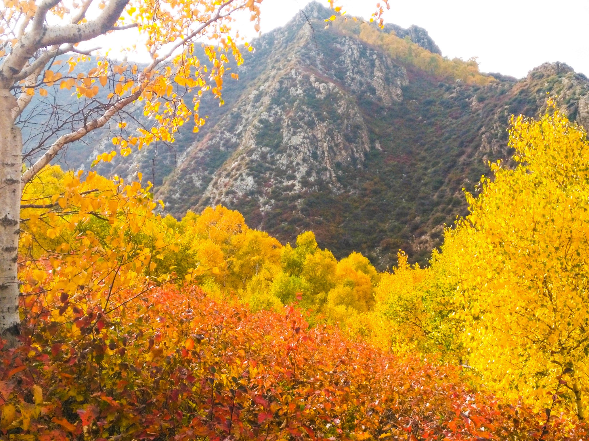 马鞍山 包头        