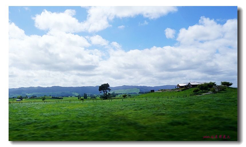 新西兰农场_澳大利亚新西兰_新西兰农场收入