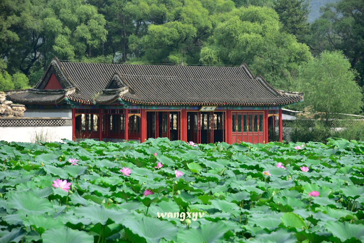 大連自助遊攻略