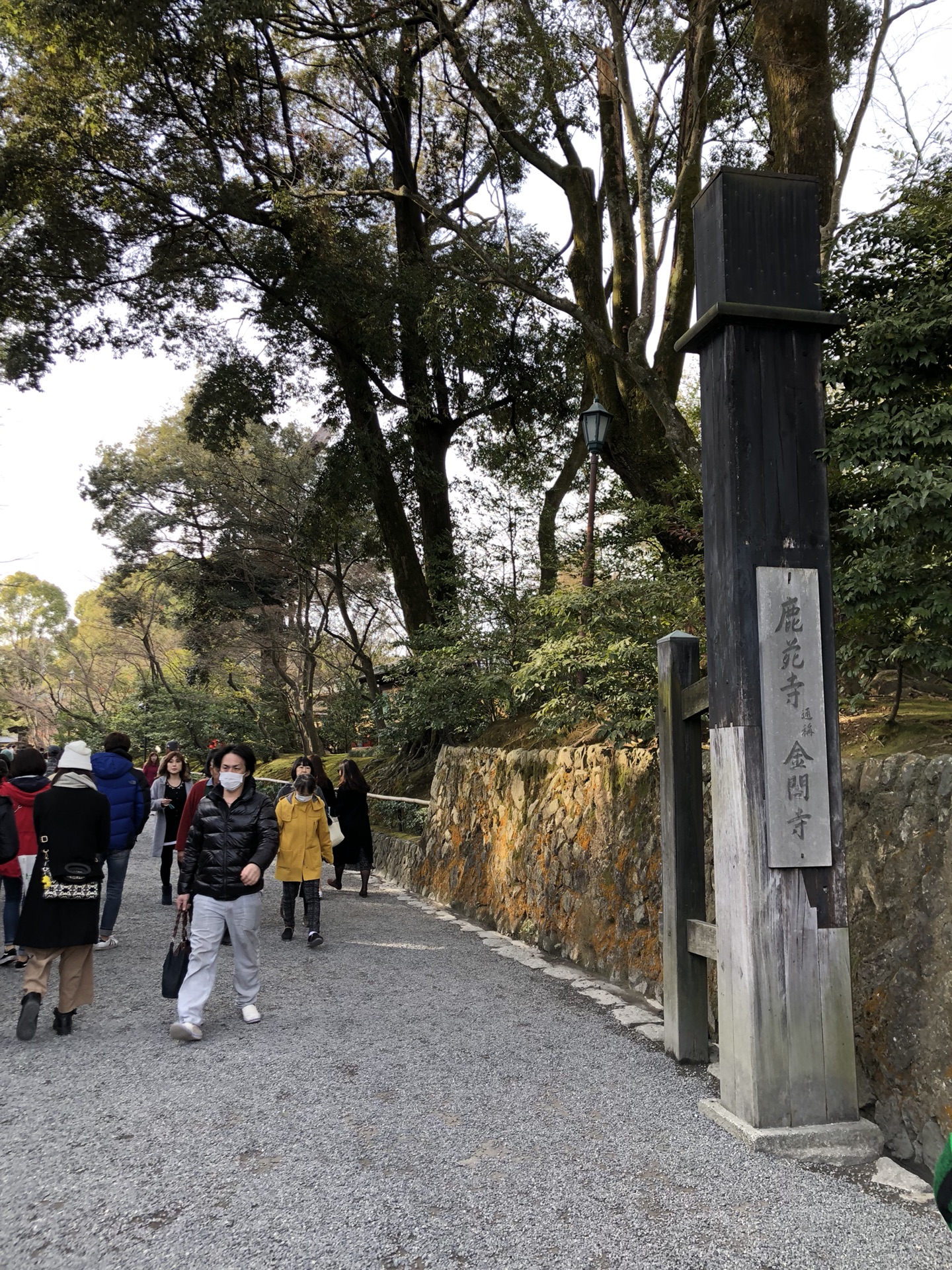 京都自助遊攻略