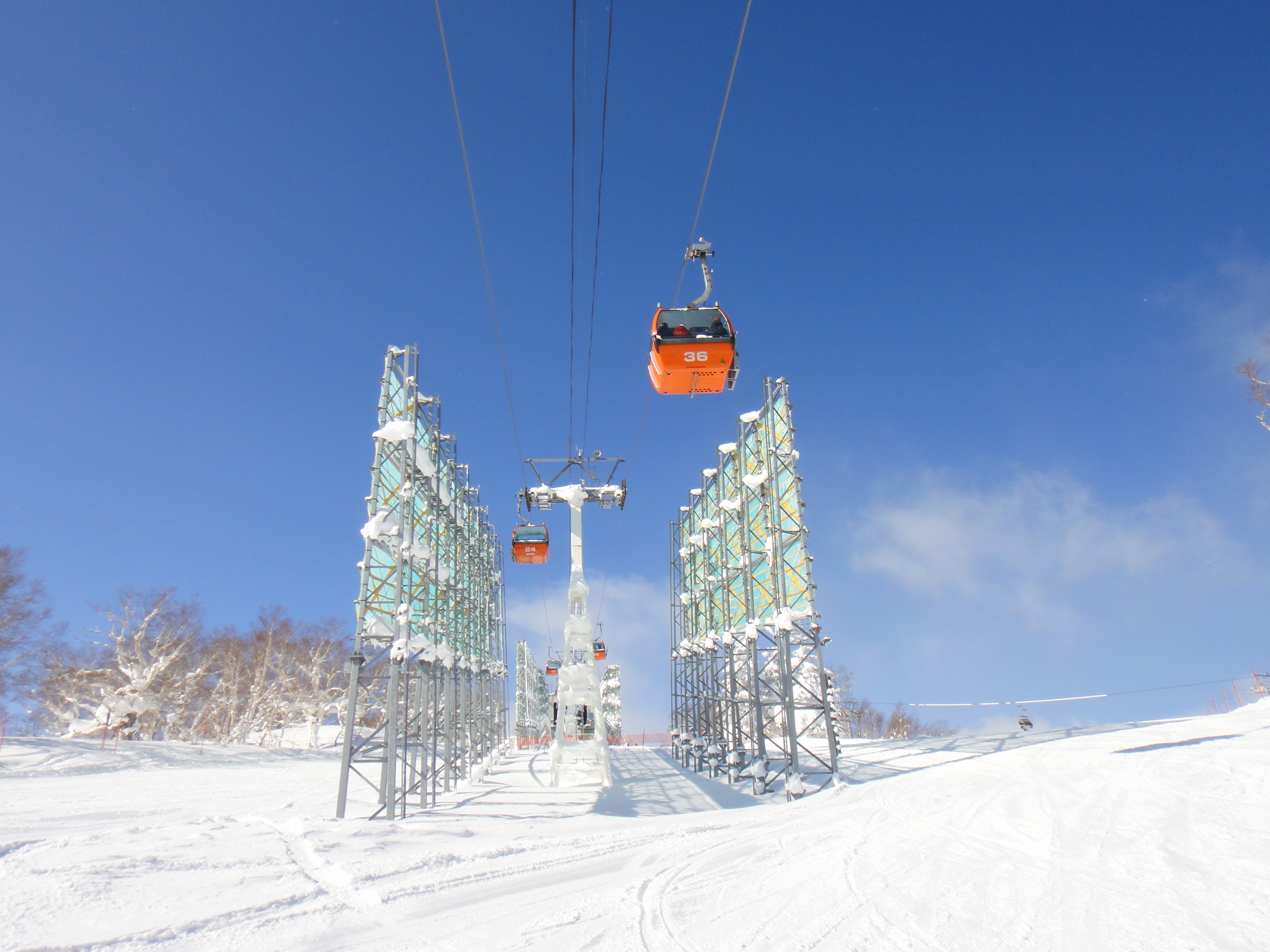 定山溪-札幌國際滑雪場 專線滑雪巴士 纜車一日券套票(專線直達/往返