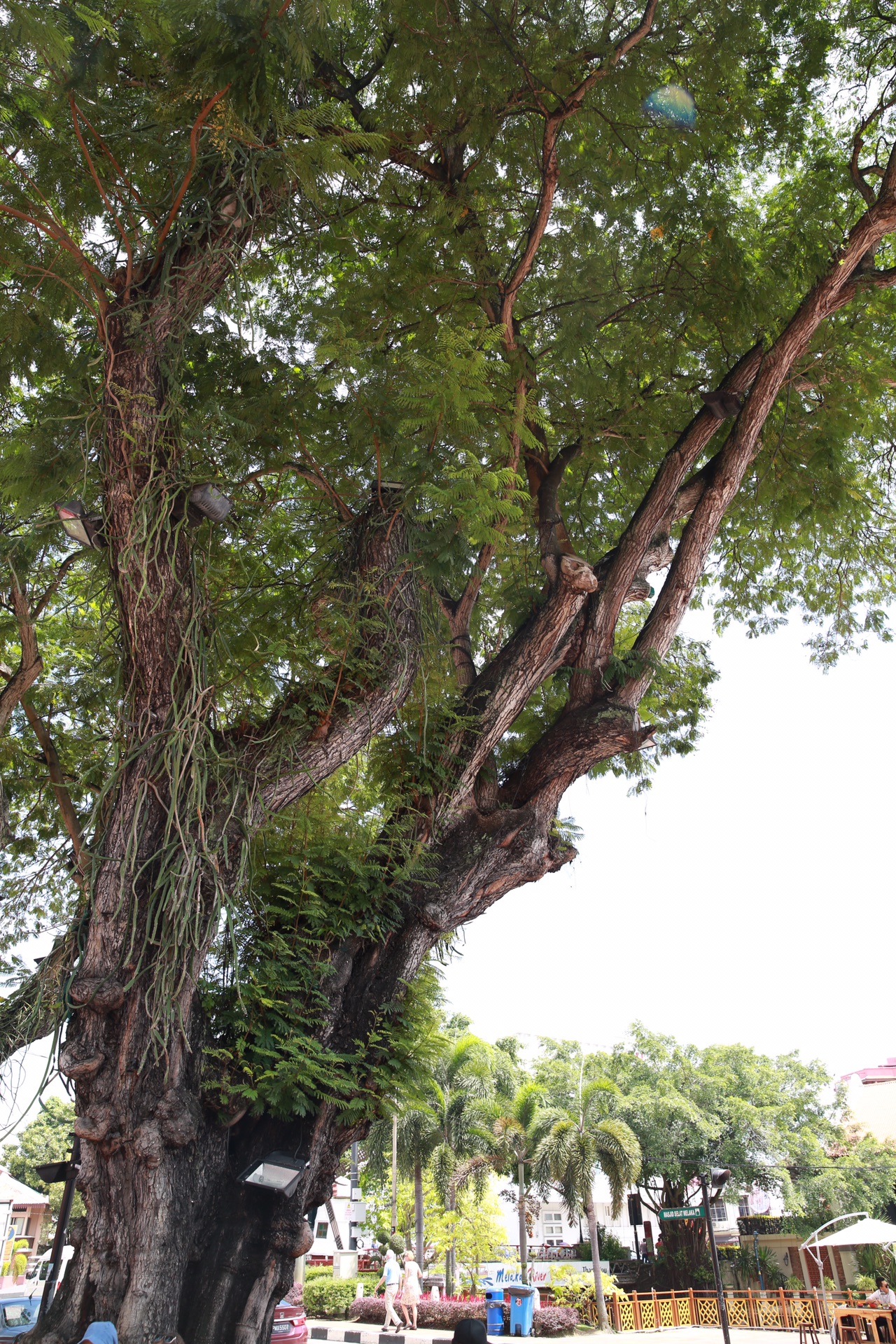 两妈带两妞穷游马来西亚10天之二——吉隆坡,马六甲