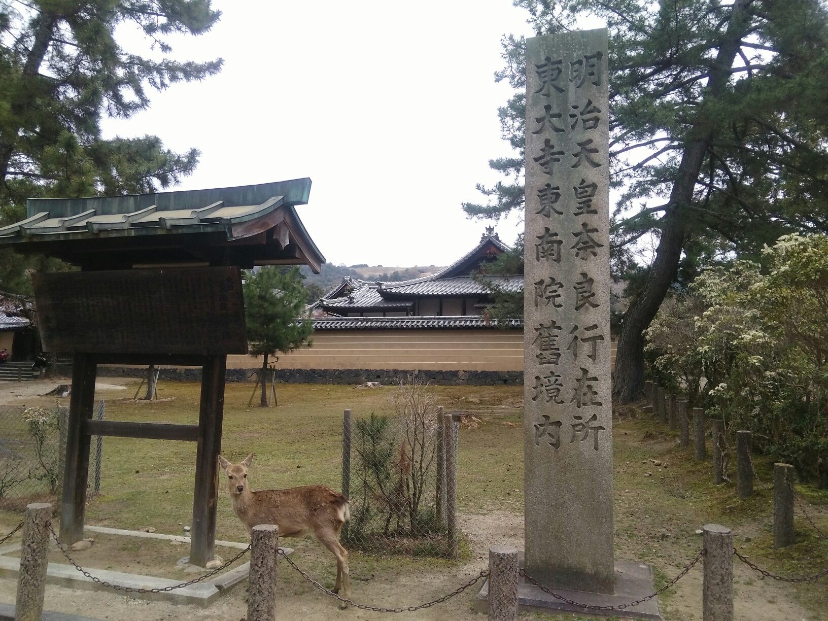 京都自助遊攻略