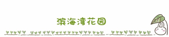 ...........滨海湾花园 ...........滨海湾花园