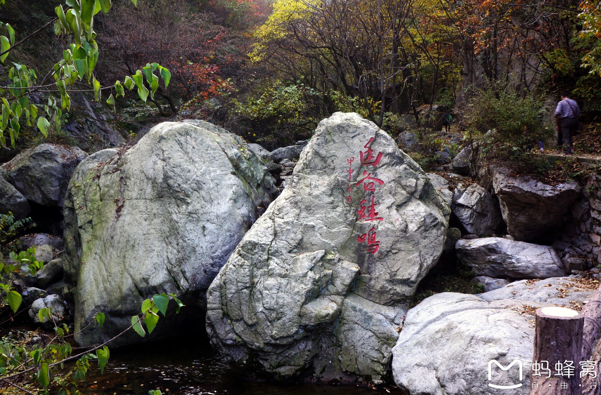 欒川自助遊攻略