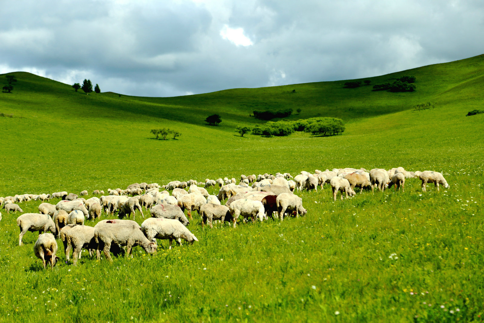 乌兰布统坝上草原 承德避暑山庄 北戴河纯玩7日深度游(小团慢游 含