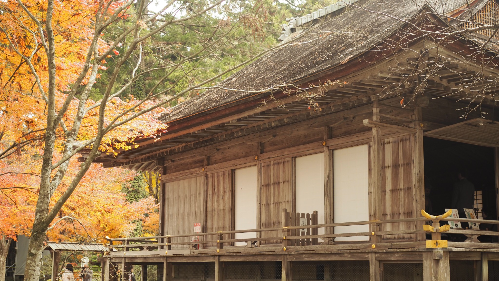 京都自助遊攻略