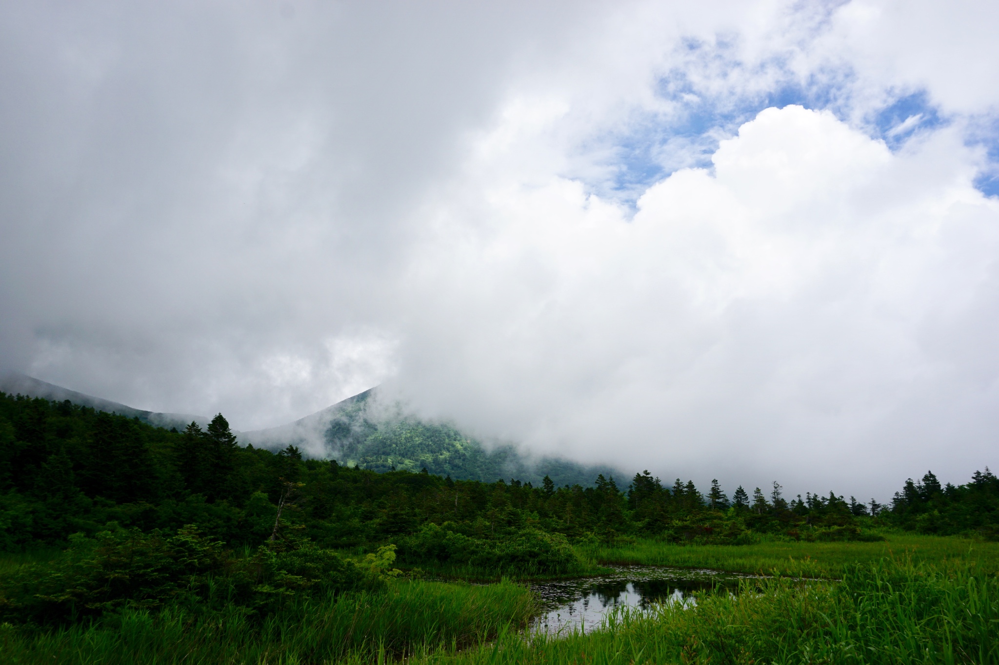 北海道自助遊攻略