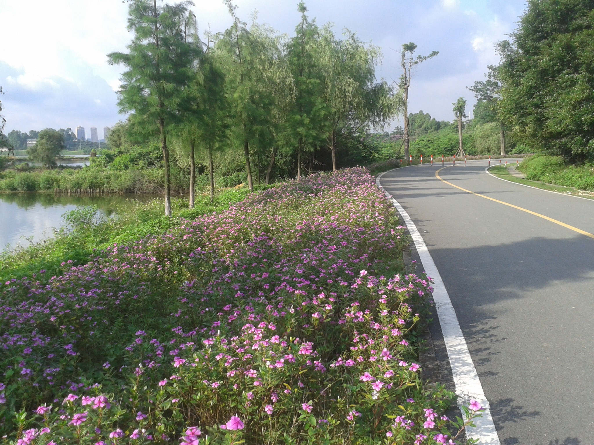 清扫gdp_中国gdp增长图