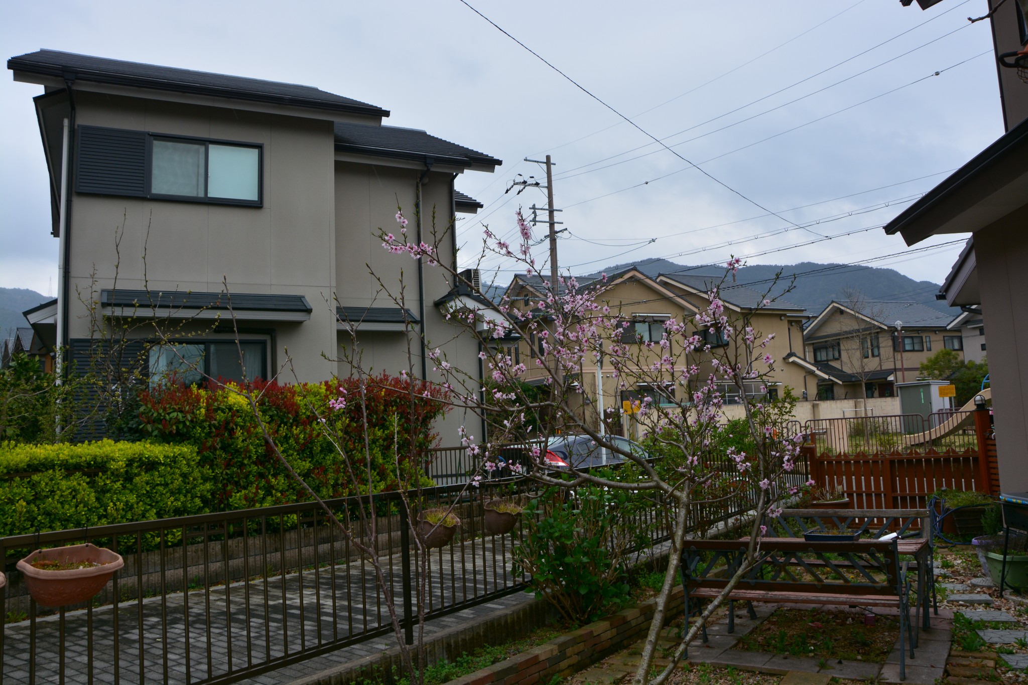 什么什么什么酥成语_成语故事图片(2)