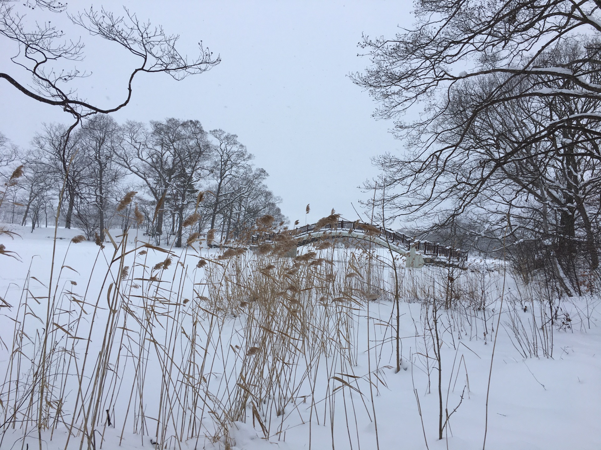 北海道自助遊攻略