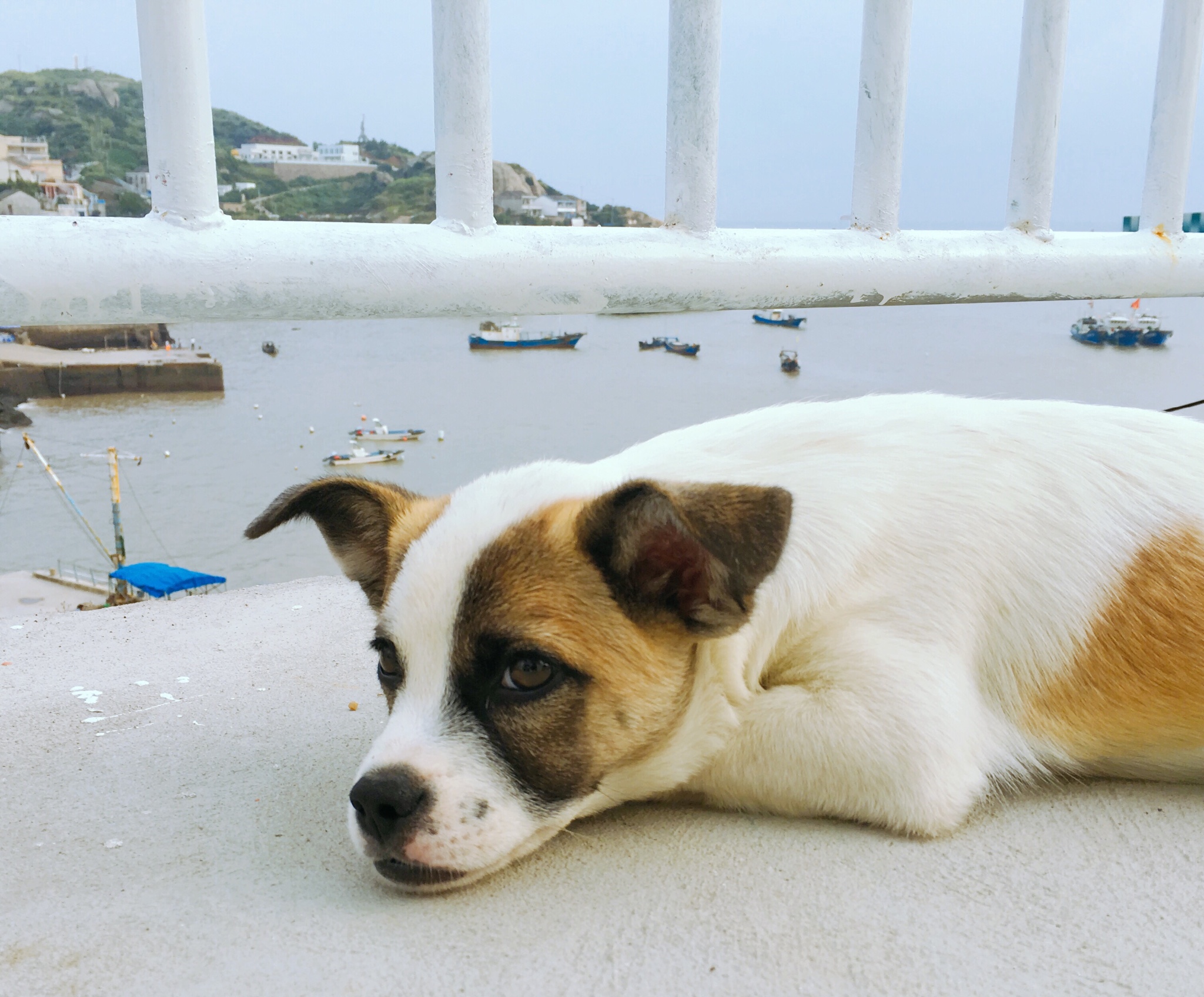 红邮筒人均_红邮筒水彩(3)