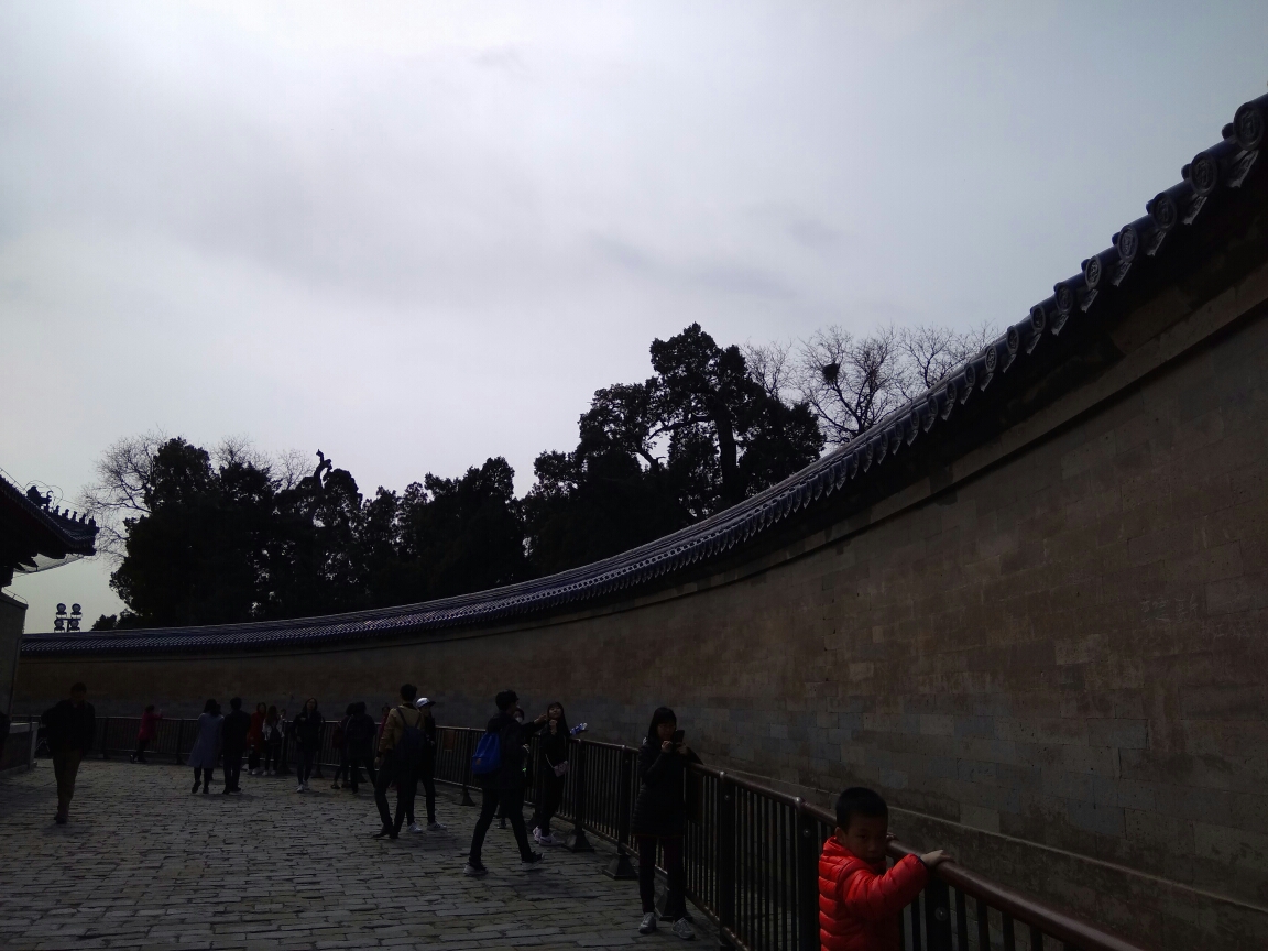 帝骑九人口_人口普查