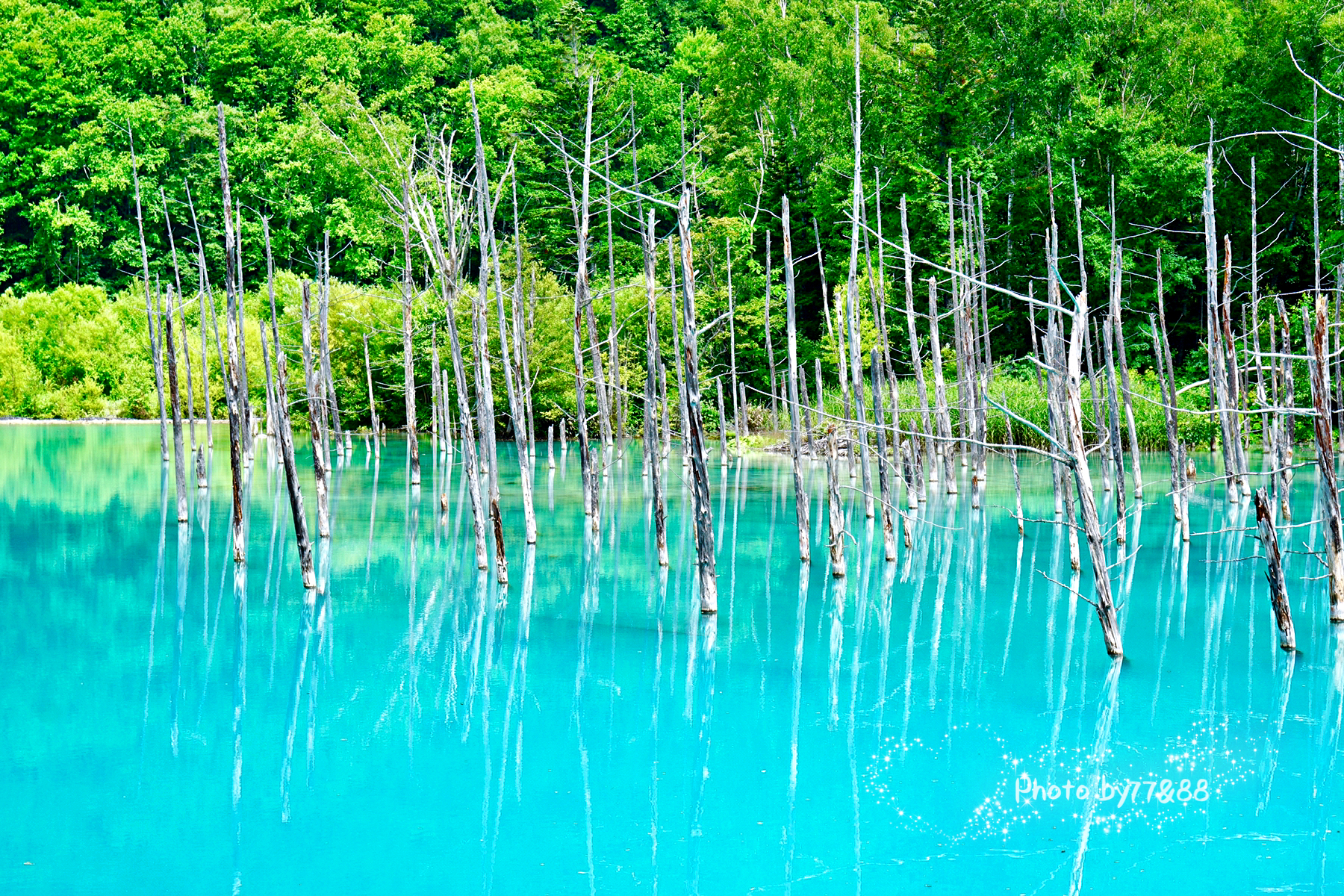 北海道自助遊攻略