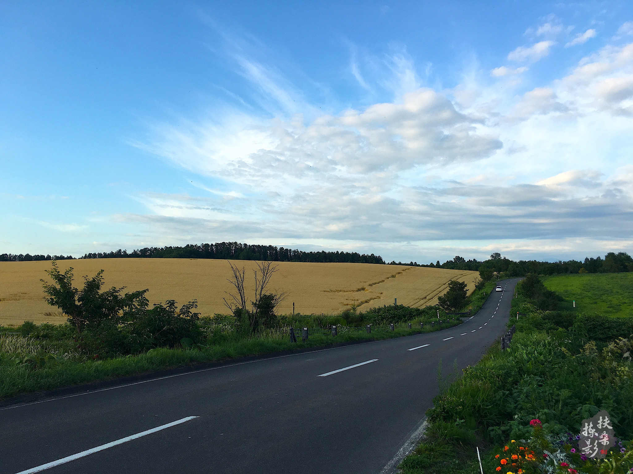 北海道自助遊攻略