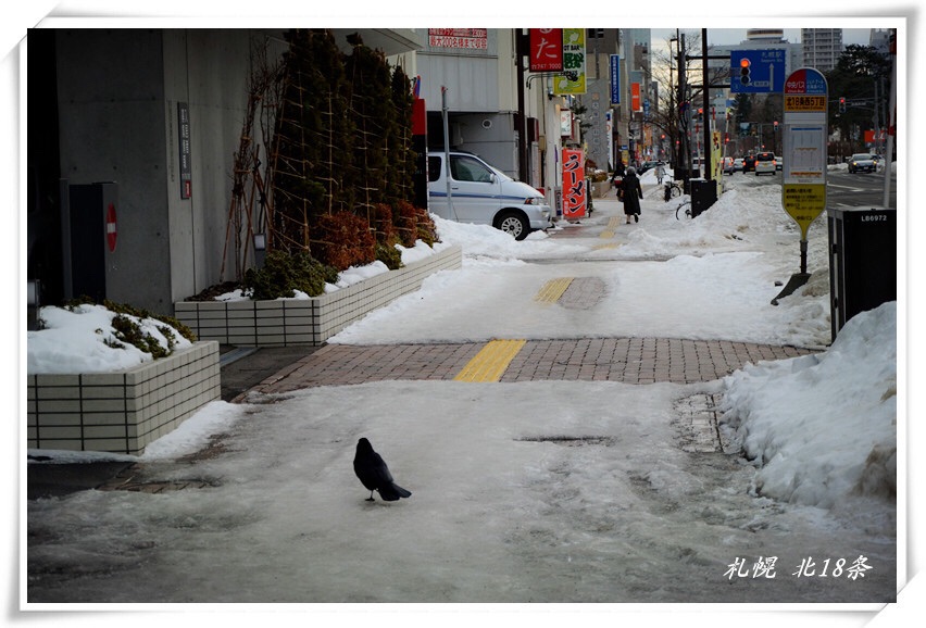 札幌自助遊攻略