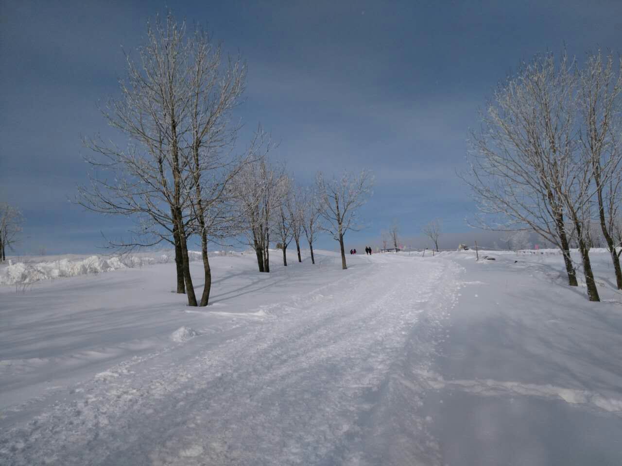 雪鄉自助遊攻略