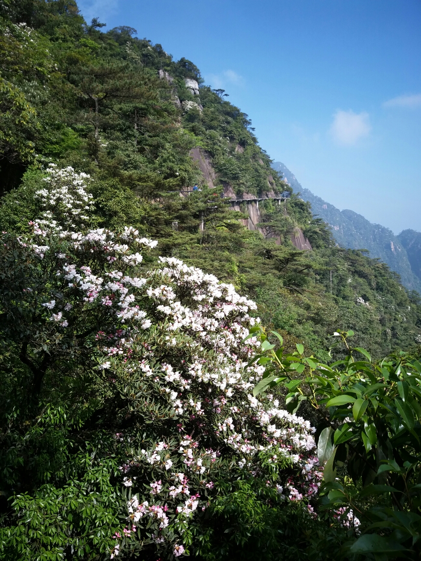 三清山自助遊攻略