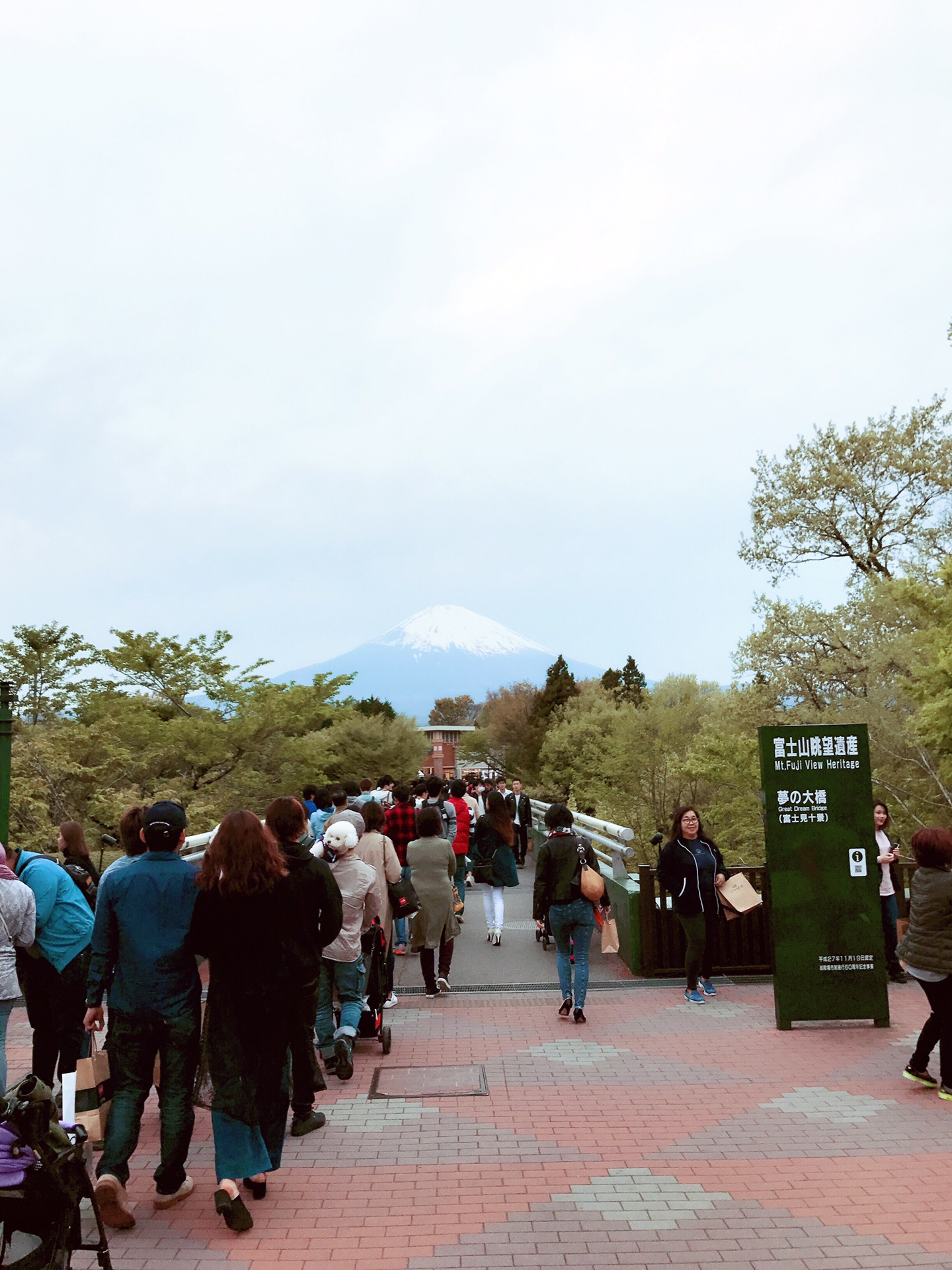 富士山自助遊攻略