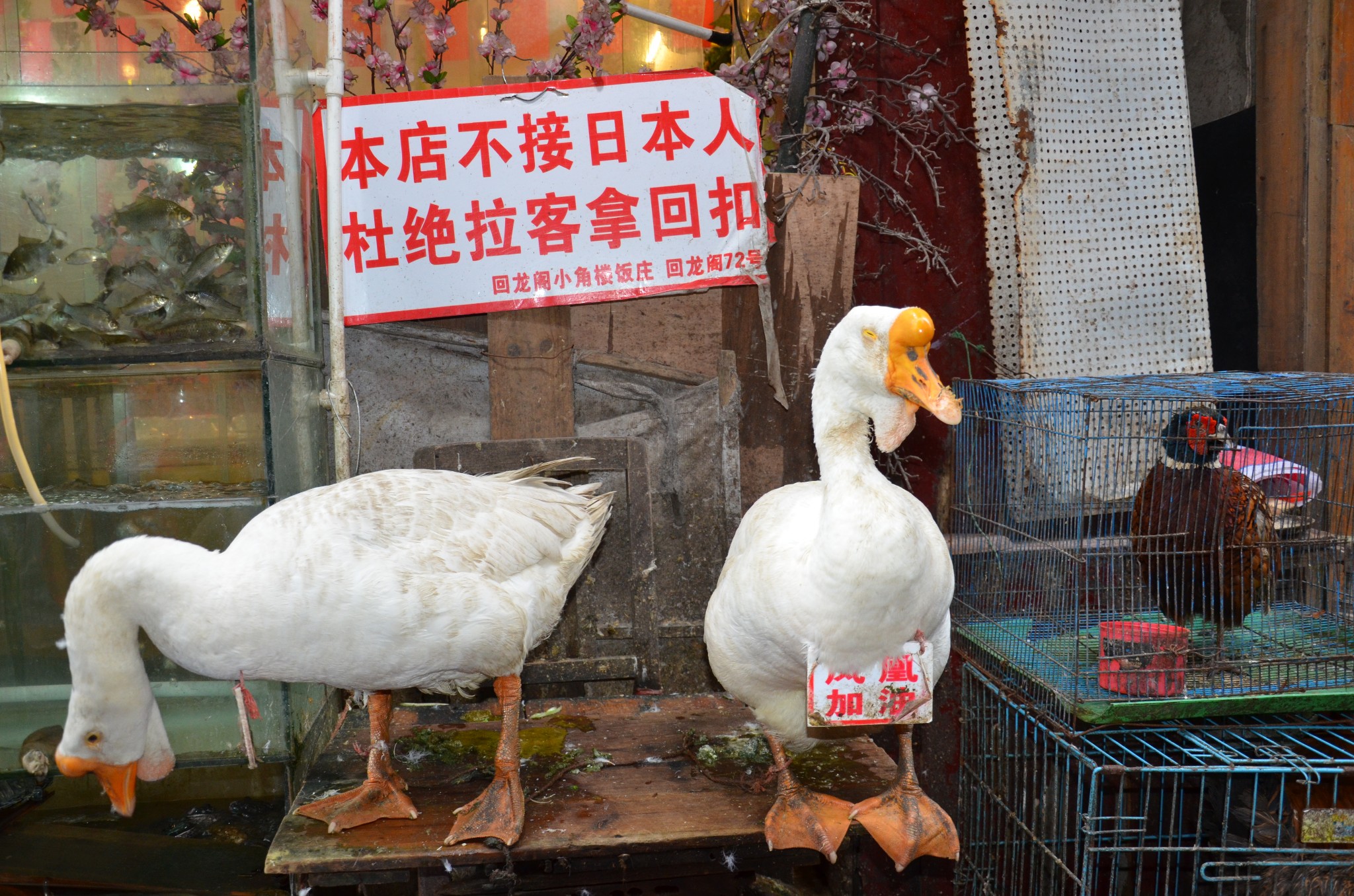 張家界自助遊攻略