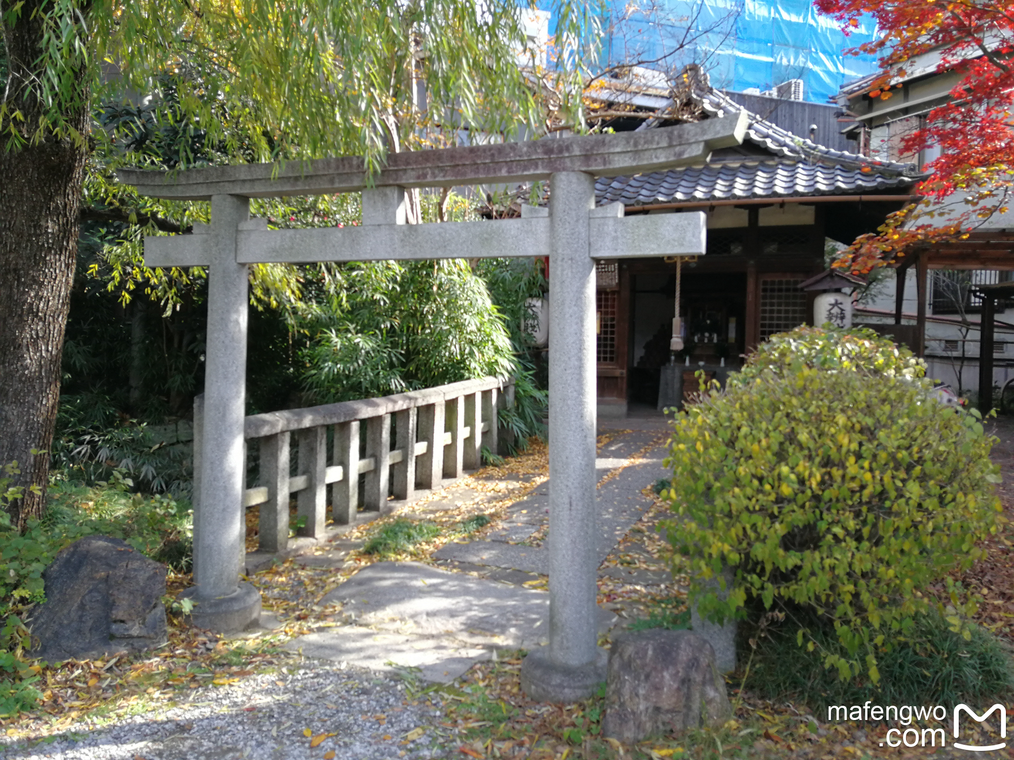 京都自助遊攻略