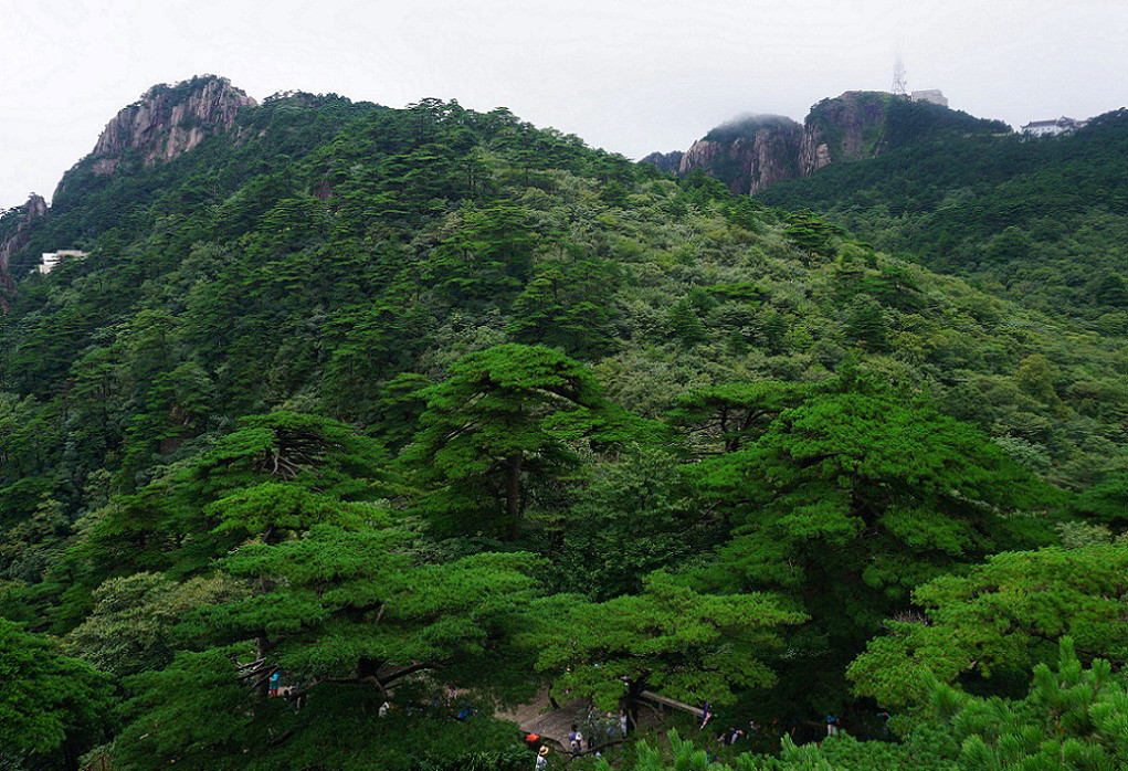 黃山自助遊攻略