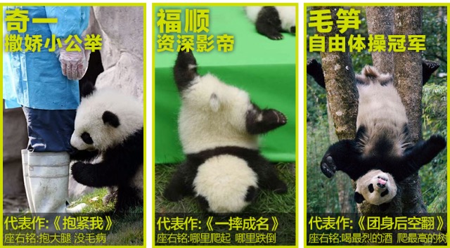 成都48H | 初来乍到，2天轻松逛遍少城特色