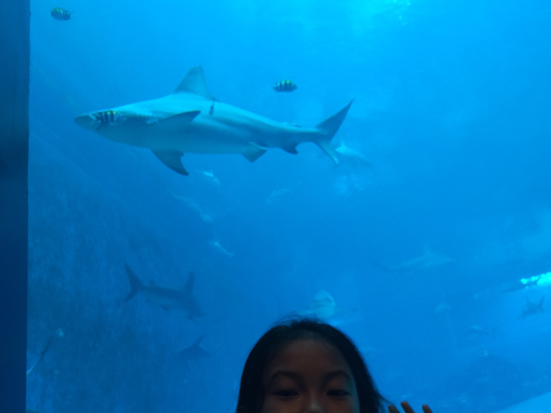 直接印钱算gdp吗(3)