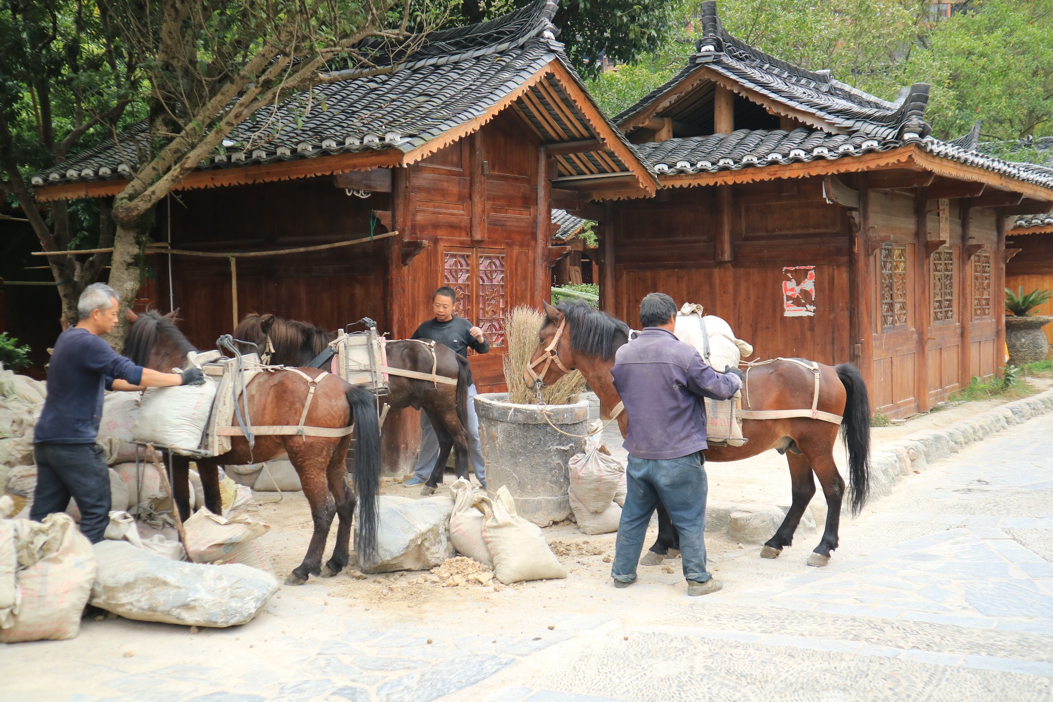 西江自助遊攻略