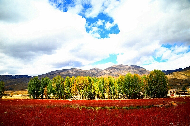 wKgBZ1uF9fGATRdKAAYHyi9nu2459.jpeg?imageView2%2F2%2Fw%2F680%2Fq%2F90%7CimageMogr2%2Fstrip%2Fquality%2F90