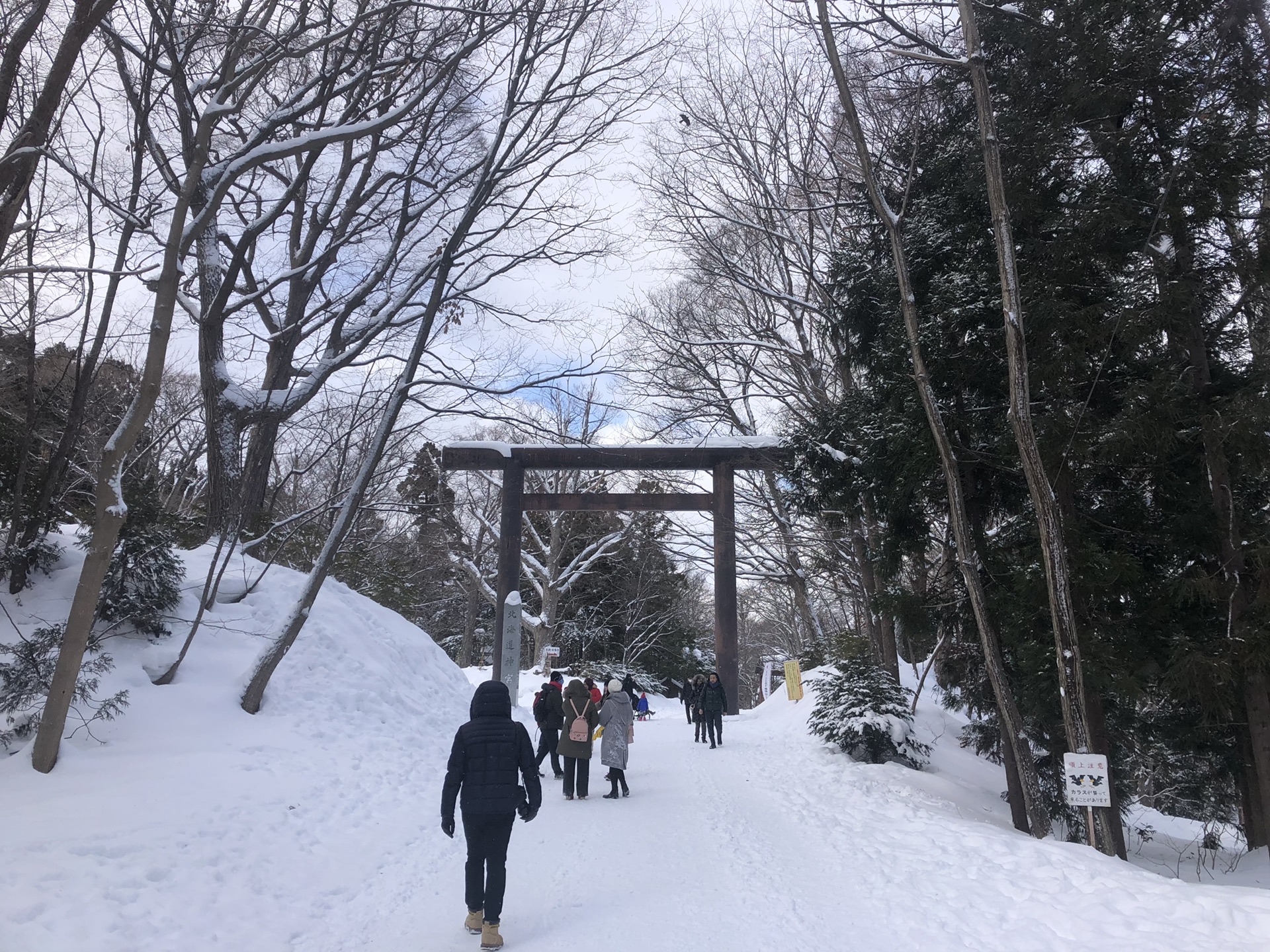 札幌自助遊攻略