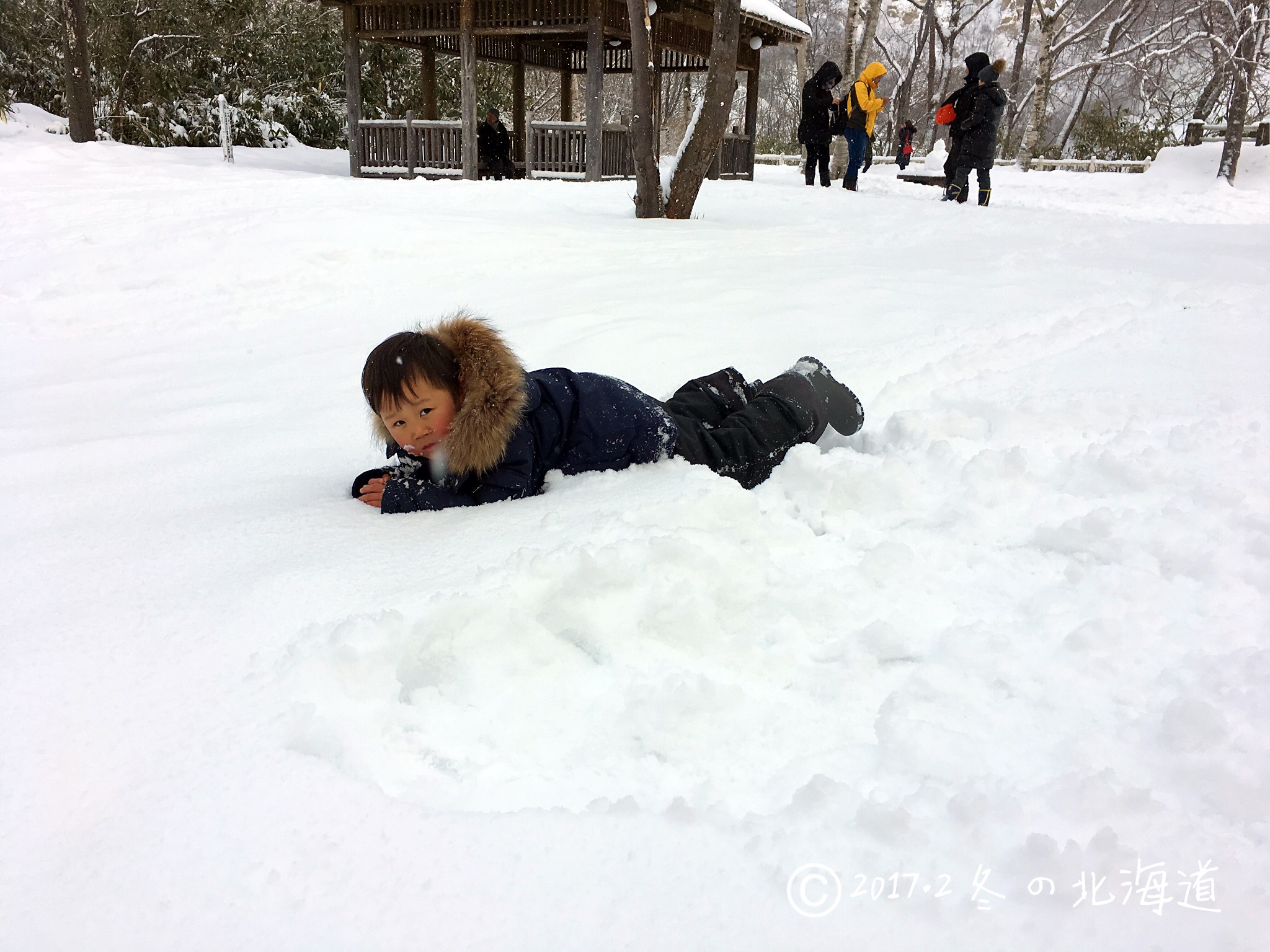 北海道自助遊攻略