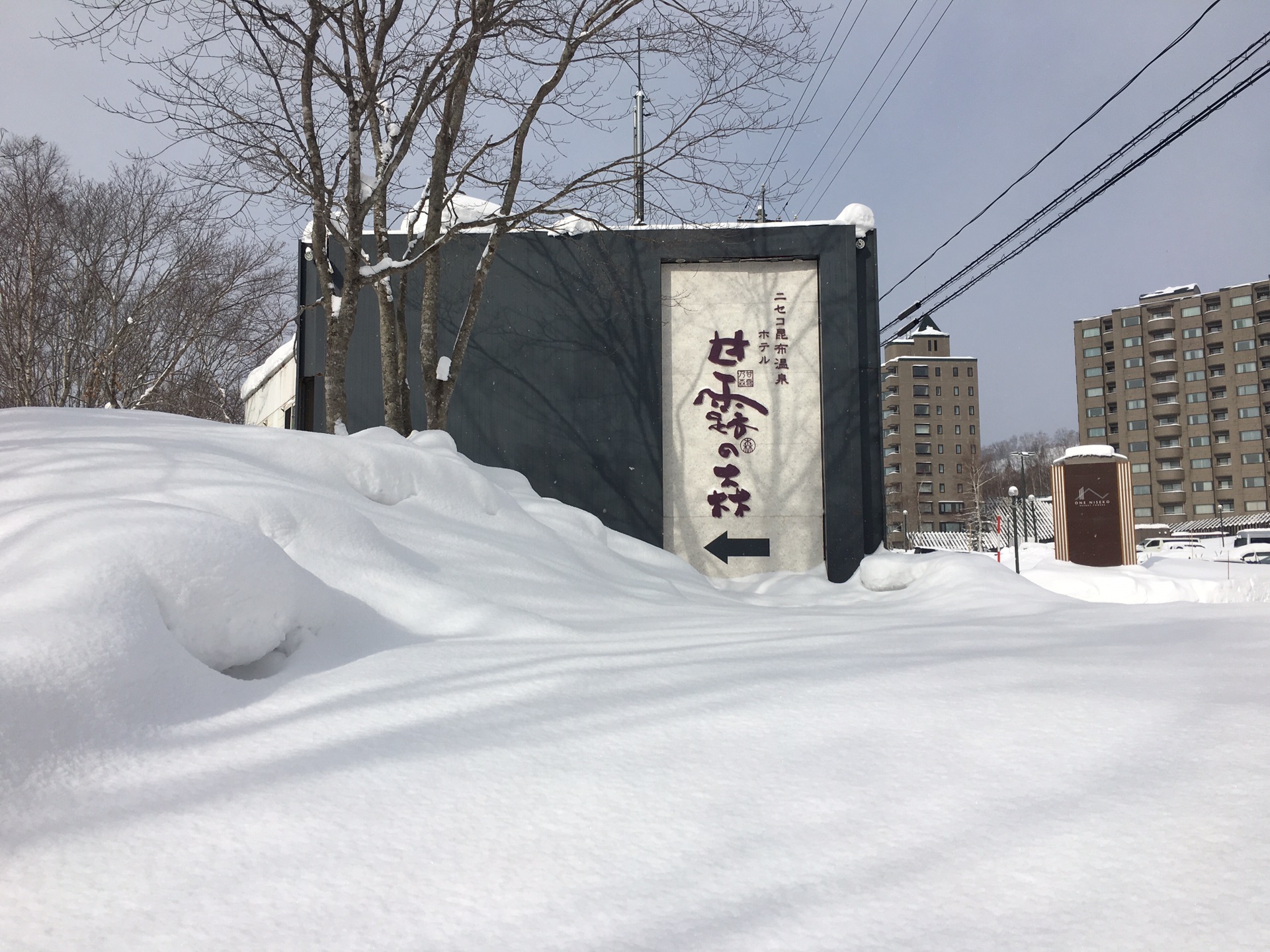 北海道自助遊攻略