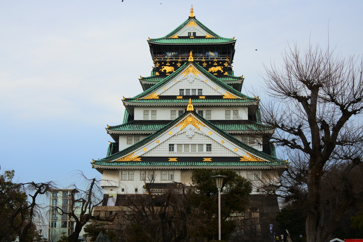 保山历年人口变化_保山学院(3)