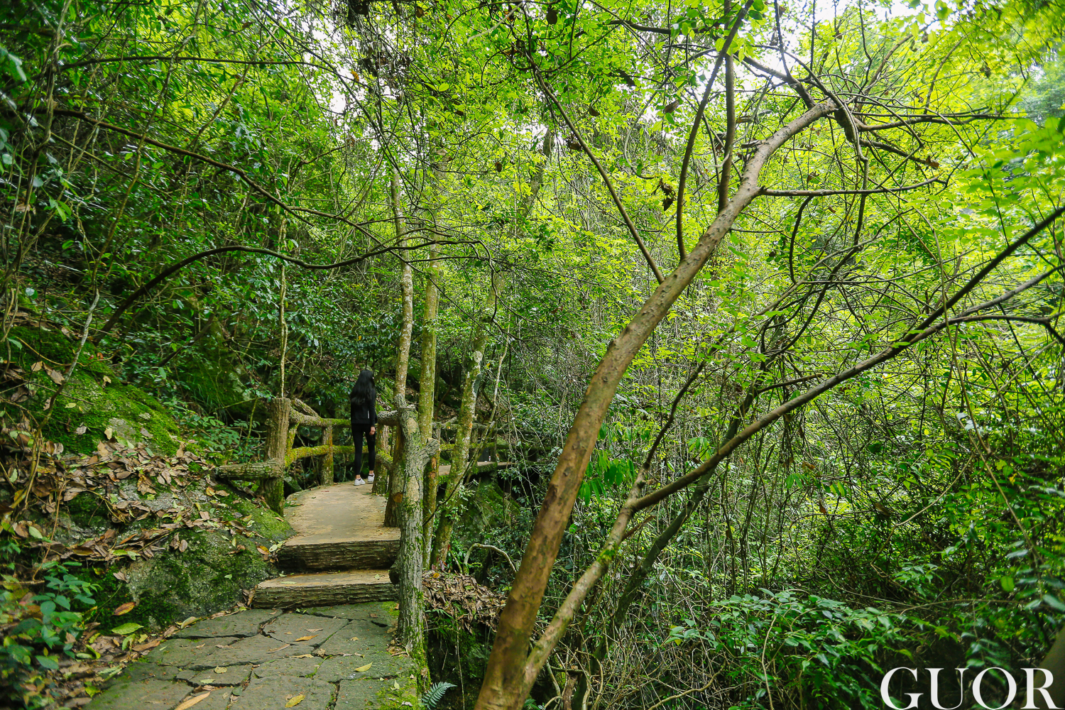 千島湖自助遊攻略