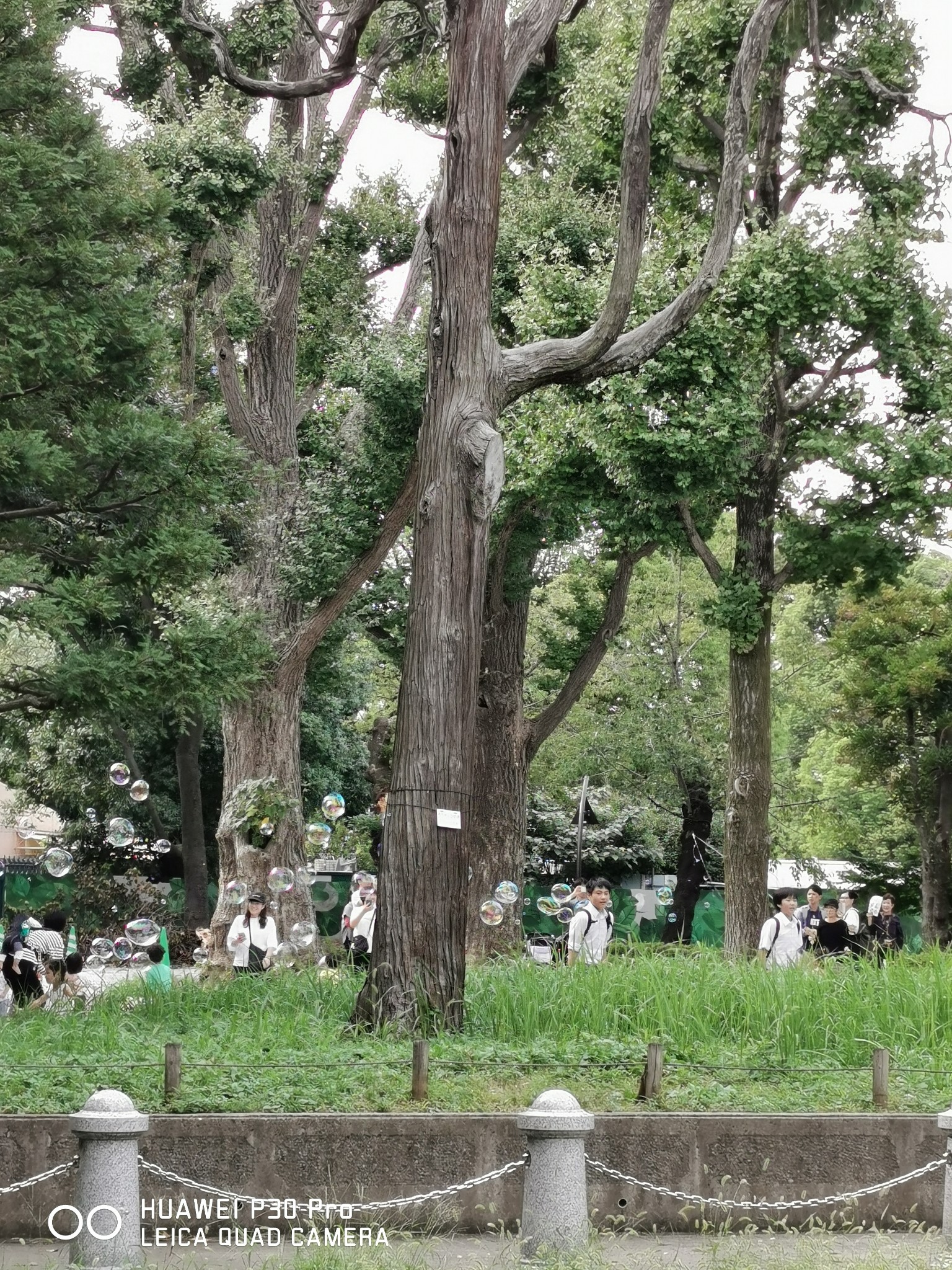 東京自助遊攻略