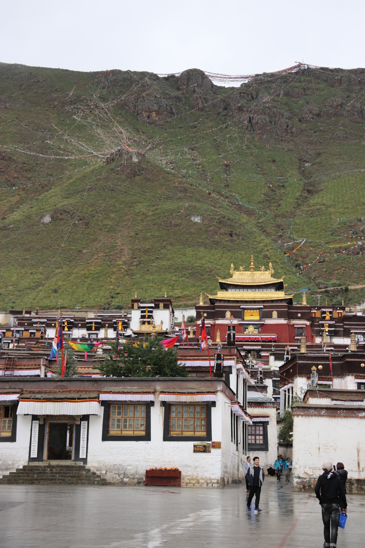 按人口扎地(3)