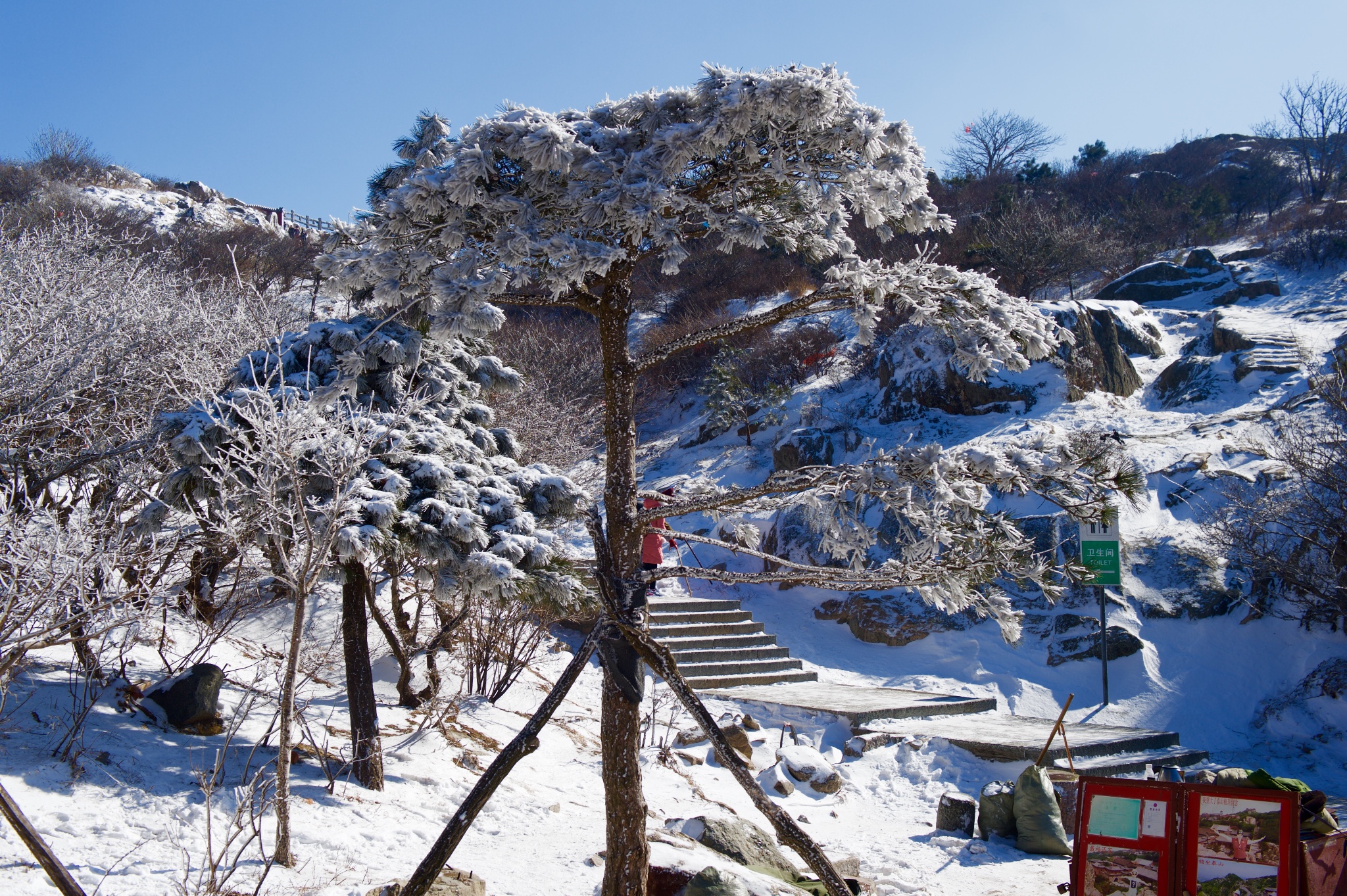 泰山自助遊攻略