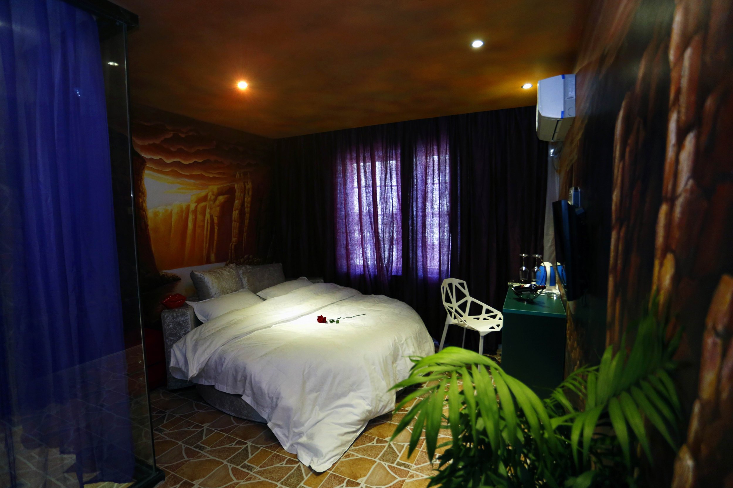 安庆紫藤恋主题酒店