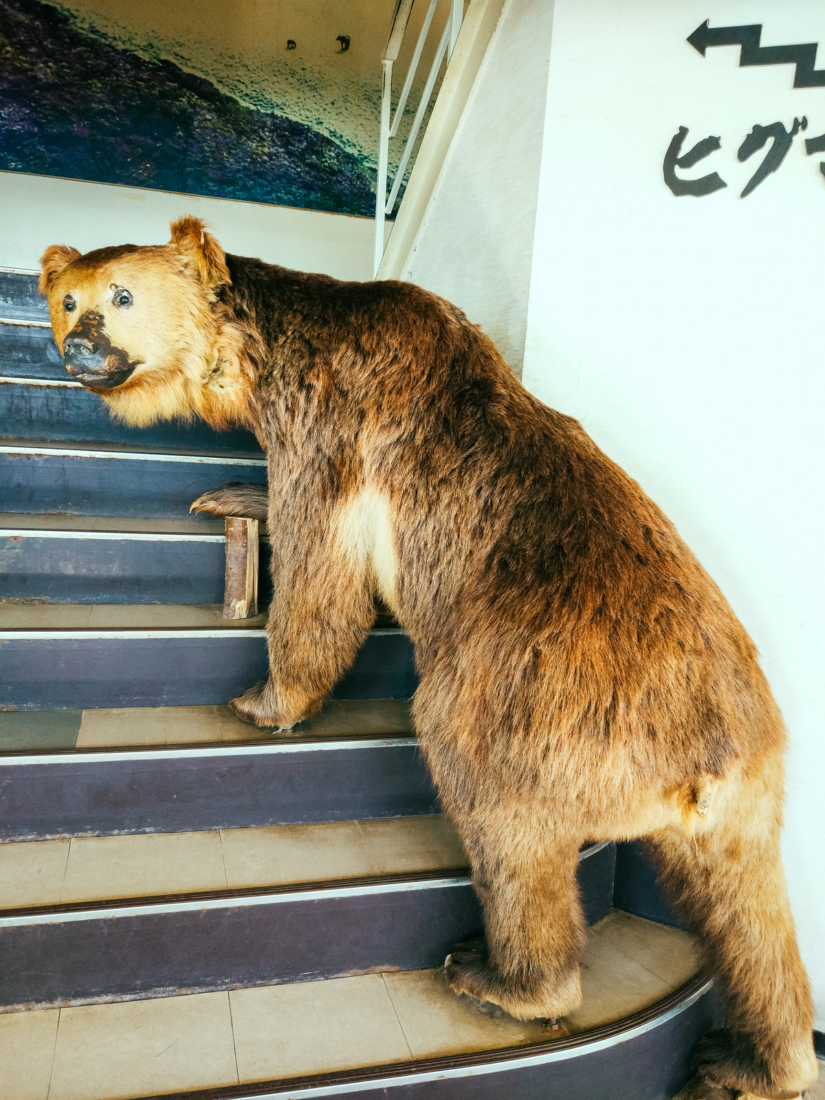 北海道自助遊攻略