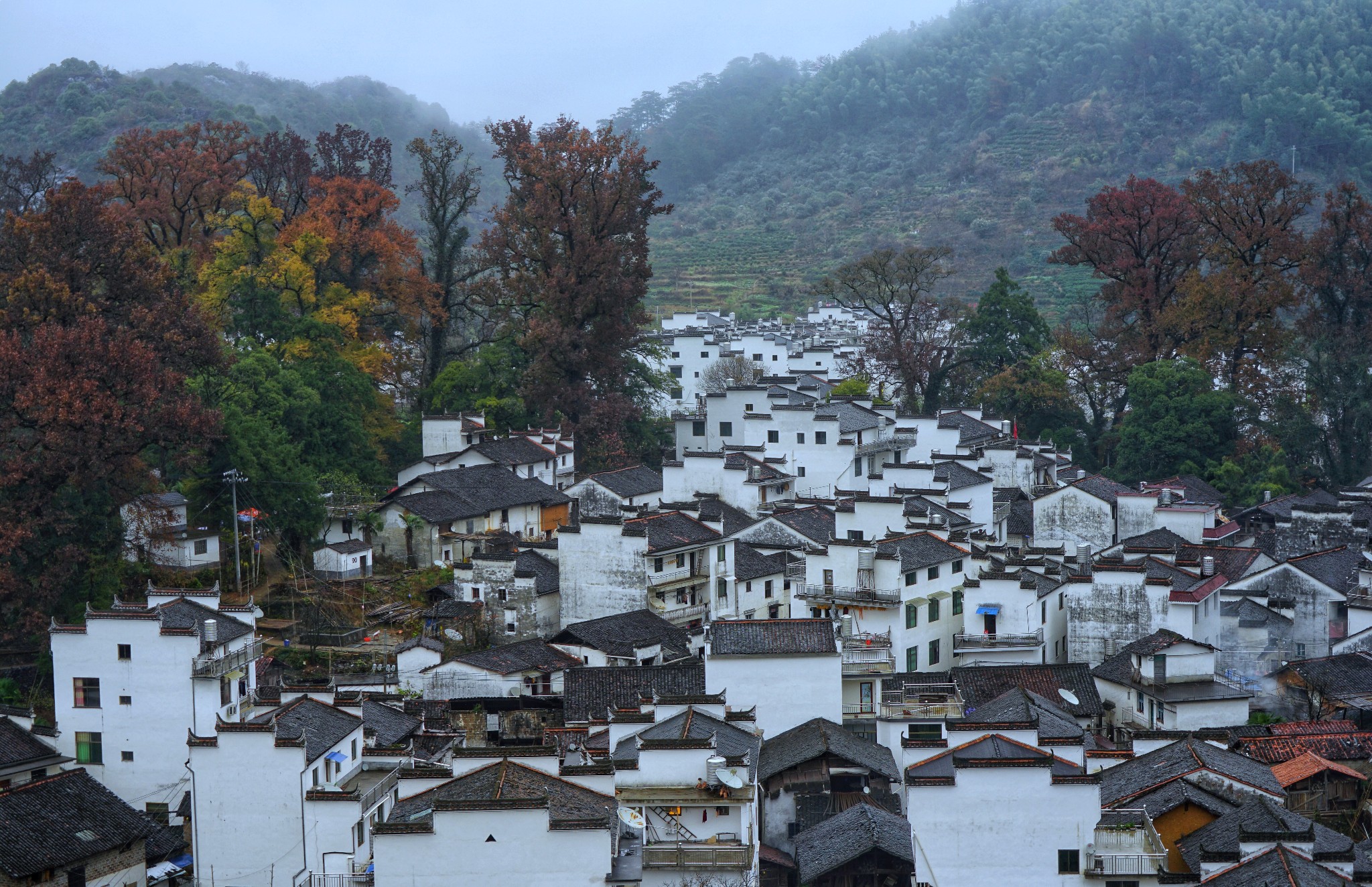 江西铅山下程村人口_高清 江西庐山出现 云海景观(2)