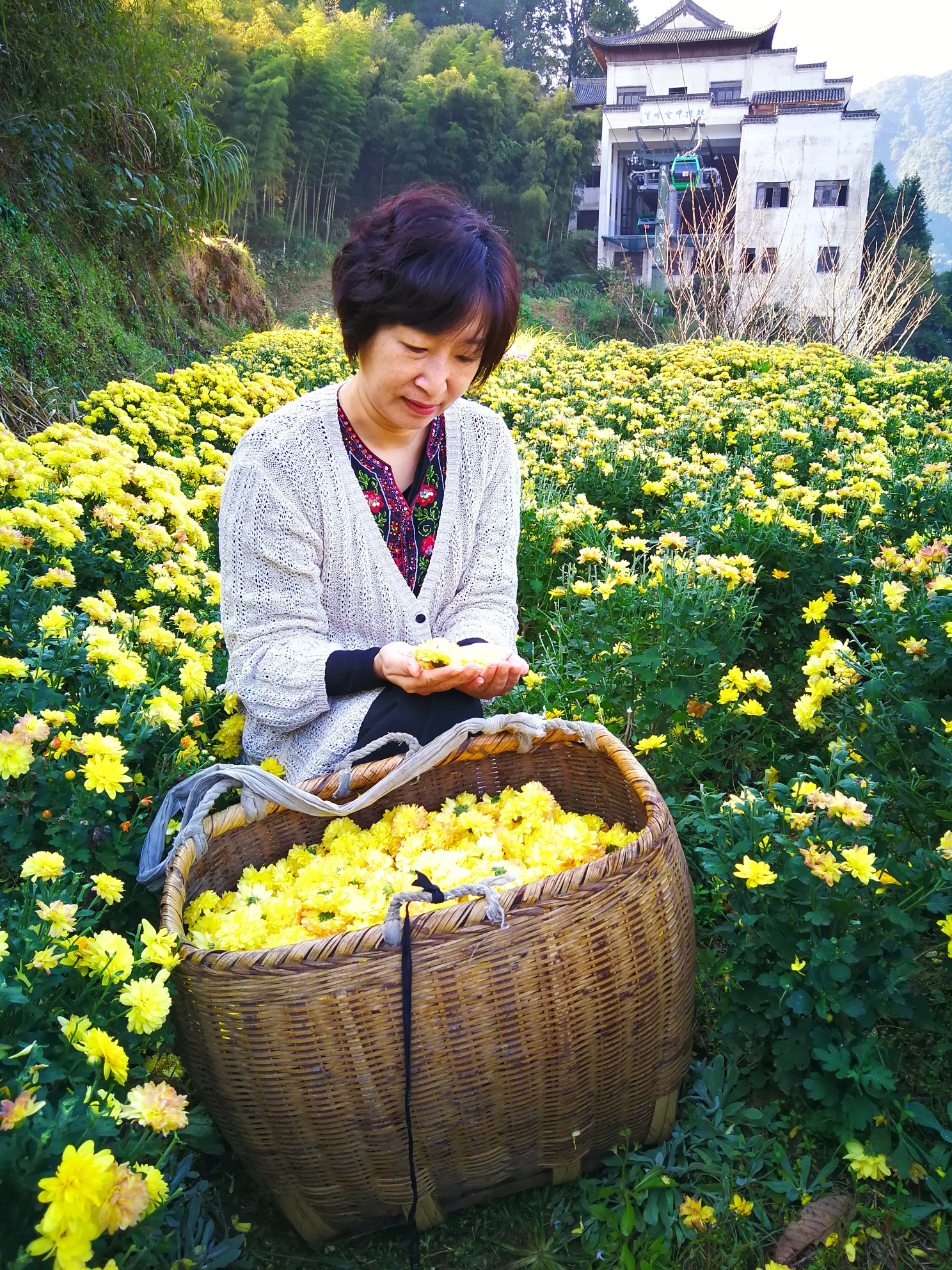 江西自助遊攻略