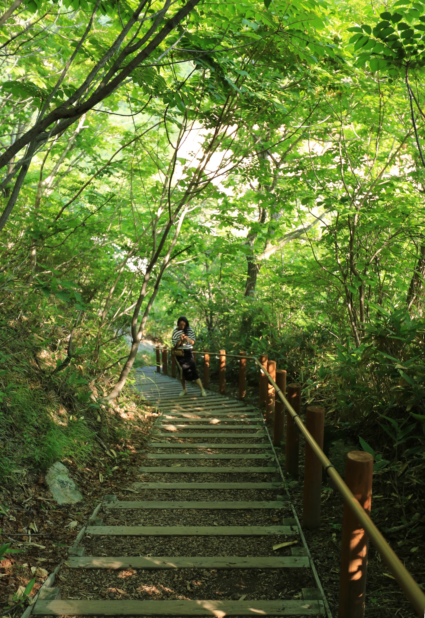 札幌自助遊攻略