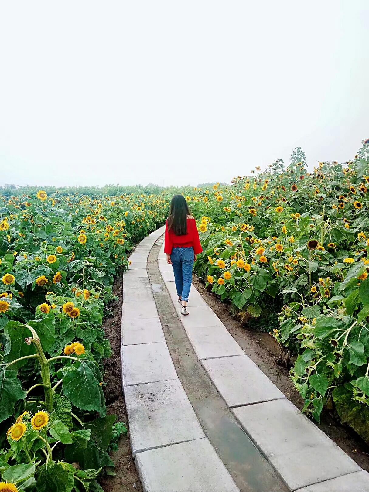 wKgBZ1opB6iAQOc-ABd1DOweLfw52.jpeg?imageView2%2F2%2Fw%2F680%2Fq%2F90%7CimageMogr2%2Fstrip%2Fquality%2F90