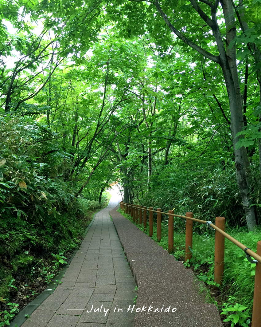 北海道自助遊攻略