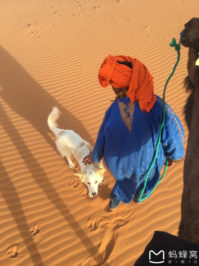 一个法国留学生的年记(20)摩洛哥--撒哈拉--平